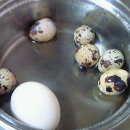 今回、八宝菜用のうずら卵も一緒に入れちゃいました＾＾
大きい卵も、小さい卵もバッチリ仕上がりました～♫
便利方法、ずっと実践させて頂きますぞよ～＾＾/